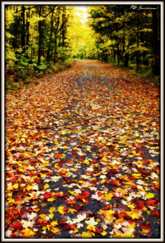 Thanksgiving Weekend Backroads Fall Colour Tour 09